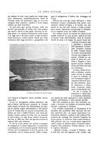 giornale/TO00187642/1903/unico/00000011
