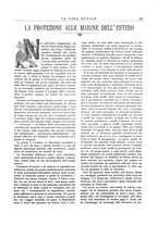 giornale/TO00187642/1903/unico/00000185