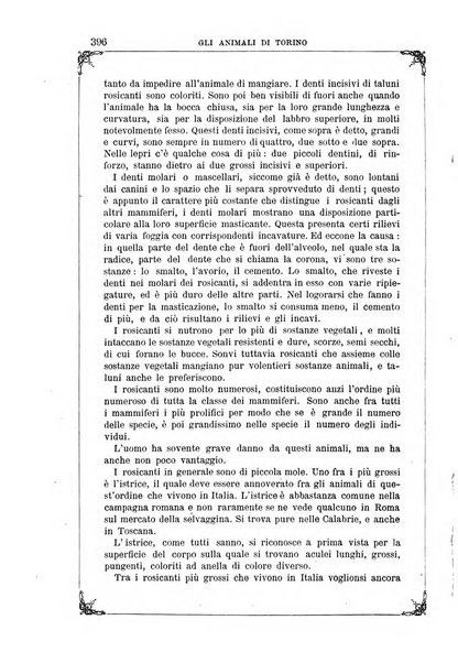 Letture per le giovinette