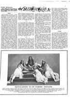 giornale/TO00187832/1923/unico/00000059