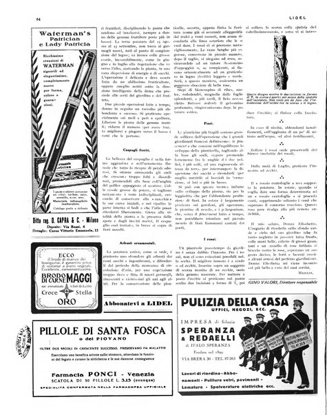 Lidel lettura, illustrazioni, disegni, eleganze, lavoro