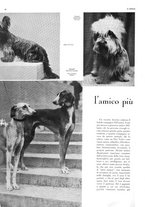 giornale/TO00187832/1932/unico/00000048