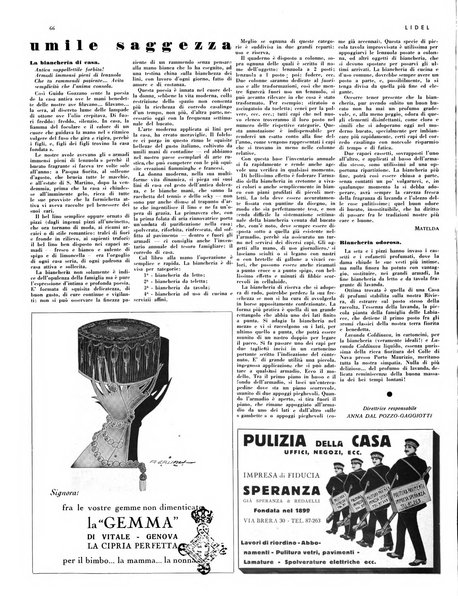 Lidel lettura, illustrazioni, disegni, eleganze, lavoro