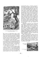 giornale/TO00187843/1938/unico/00000232