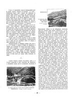 giornale/TO00187843/1938/unico/00000233