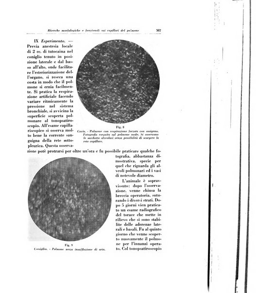 Lotta contro la tubercolosi rivista mensile