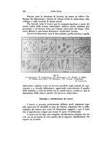 giornale/TO00188014/1933/unico/00001046