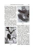 giornale/TO00188014/1933/unico/00001345