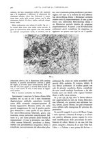 giornale/TO00188014/1940/unico/00000394