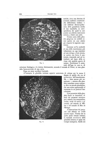 Lotta contro la tubercolosi rivista mensile