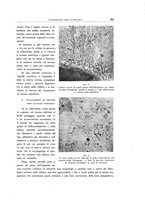 giornale/TO00188014/1942/unico/00000379