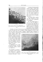 giornale/TO00188014/1942/unico/00000380