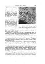 giornale/TO00188014/1942/unico/00000385