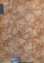 giornale/TO00188033/1908/unico/00000002