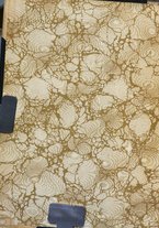 giornale/TO00188033/1921/unico/00000002