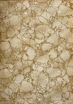 giornale/TO00188033/1921/unico/00000003