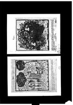 giornale/TO00188105/1908/unico/00000017