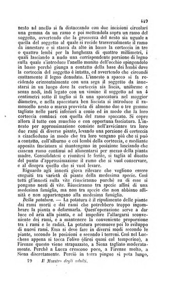 Il maestro degli adulti periodico ad uso delle scuole serali, domenicali e reggimentali del Regno d'Italia