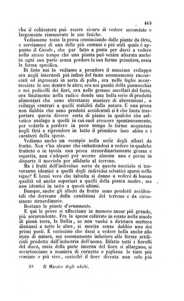 Il maestro degli adulti periodico ad uso delle scuole serali, domenicali e reggimentali del Regno d'Italia