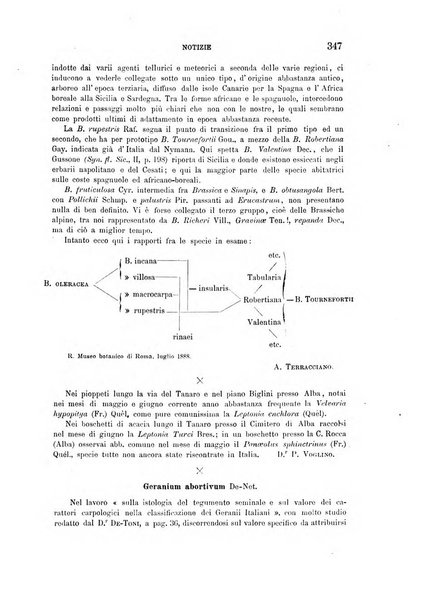 Malpighia rassegna mensuale di botanica