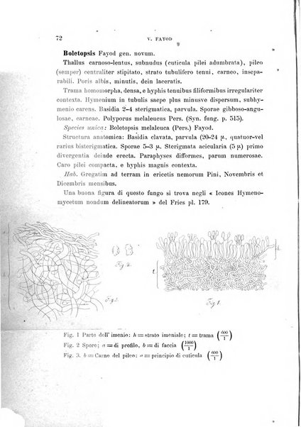 Malpighia rassegna mensuale di botanica