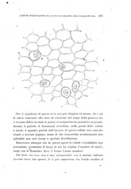 Malpighia rassegna mensuale di botanica