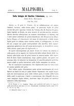 giornale/TO00188160/1891-1892/unico/00000351