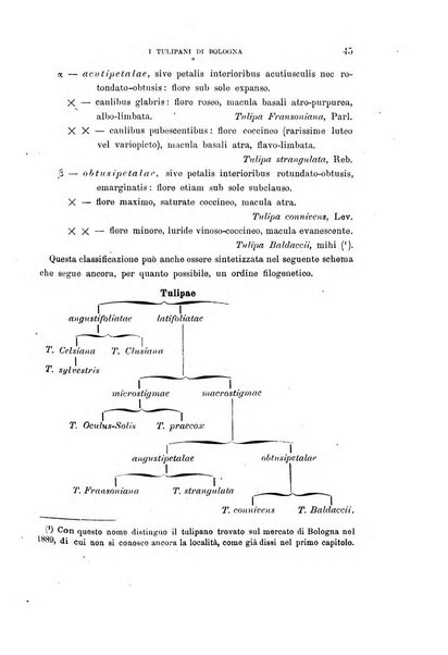 Malpighia rassegna mensuale di botanica