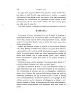 giornale/TO00188160/1893-1894/unico/00000378