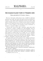 giornale/TO00188160/1893-1894/unico/00000427