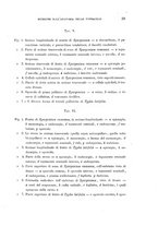 giornale/TO00188160/1895/unico/00000035