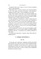 giornale/TO00188160/1896/unico/00000040