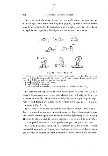 Malpighia rassegna mensuale di botanica