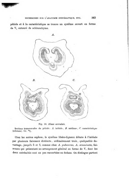 Malpighia rassegna mensuale di botanica