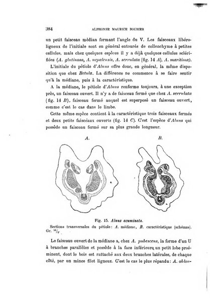 Malpighia rassegna mensuale di botanica