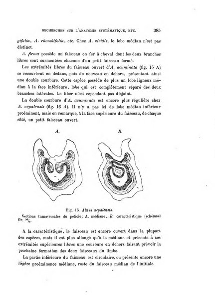 Malpighia rassegna mensuale di botanica