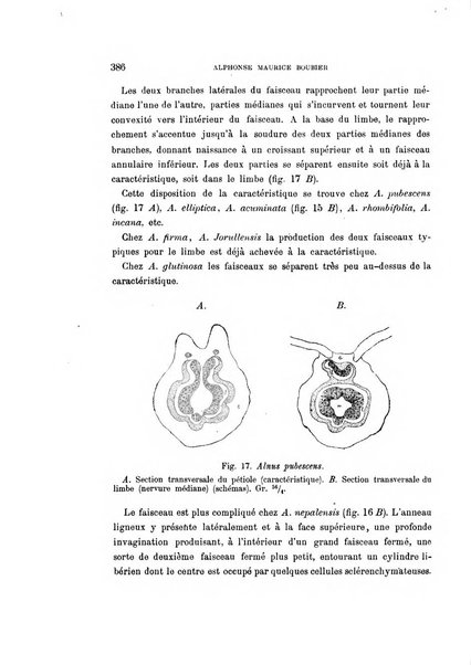 Malpighia rassegna mensuale di botanica