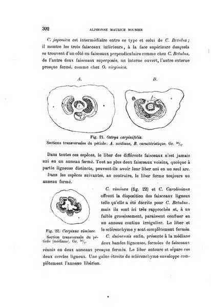 Malpighia rassegna mensuale di botanica