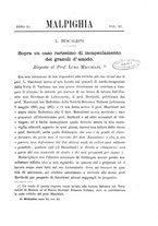 giornale/TO00188160/1897/unico/00000365