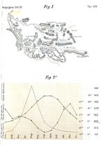 giornale/TO00188160/1897/unico/00000475