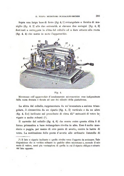 Malpighia rassegna mensuale di botanica