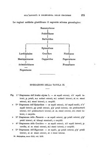 Malpighia rassegna mensuale di botanica