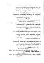 giornale/TO00188160/1899/unico/00000332