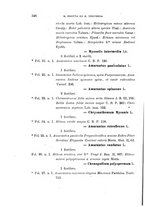 giornale/TO00188160/1899/unico/00000368