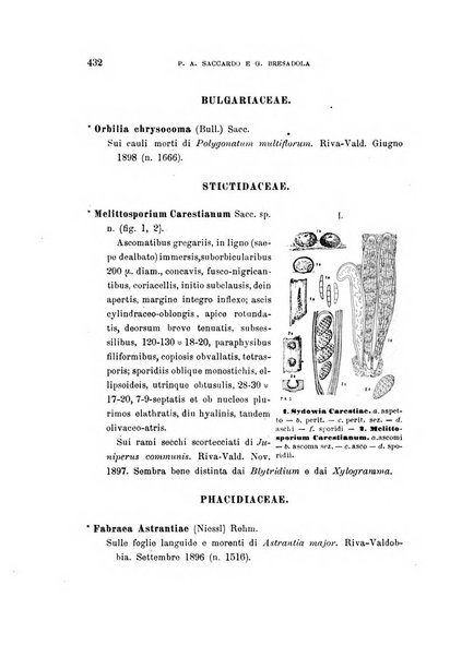 Malpighia rassegna mensuale di botanica