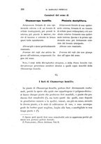 giornale/TO00188160/1900/unico/00000340