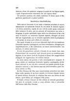 giornale/TO00188160/1901/unico/00000462