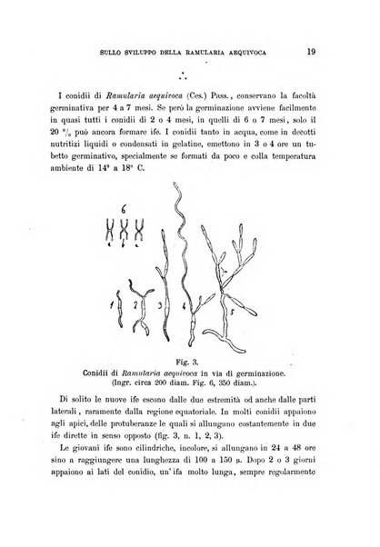 Malpighia rassegna mensuale di botanica