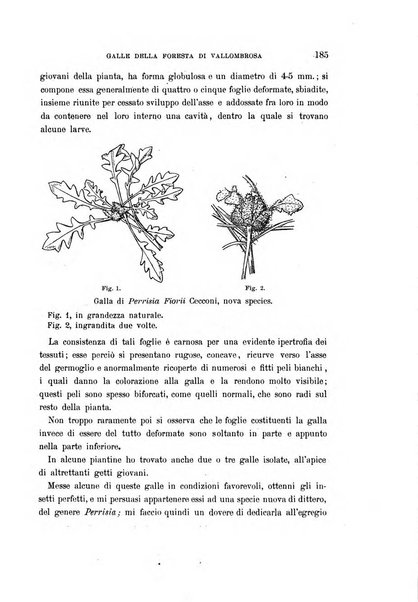 Malpighia rassegna mensuale di botanica