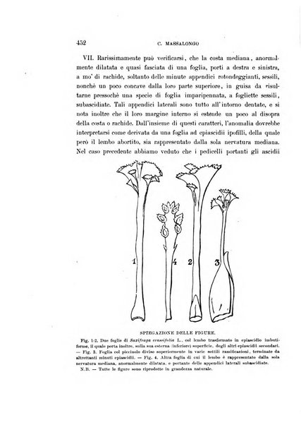 Malpighia rassegna mensuale di botanica